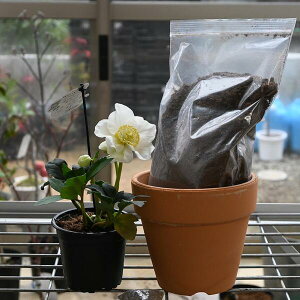 ̃NX}X[Y4_ZbgJԕcƓyƔ엿tNX}X[YJԊ̃NX}X[YJԊ𑡂蕨NX}X[YJԃjQjԔ@NX}X[Y엿t