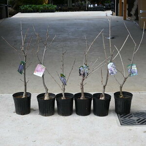 2025NJԌݕc  6ރZbg ړ WRE  d g g AEnAłĂ鎖ł