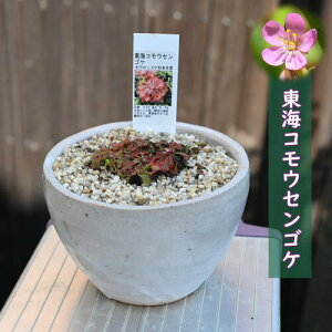 2024N9BeCREZSP A ֐^REZSP HA N