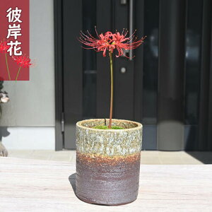 2023N10J ފ݉ A RX ֎썹 N