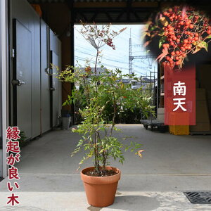 2024NNEW V A Ԏ ԓV ie Nǂ