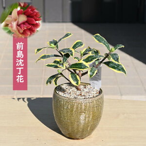 2026NԂy߂܂ O ~jԃv[gɒ23JԒԃ~j~͉ԉLW`EQA֒ԑOԂ̍肪肪܂B픫Ԃ