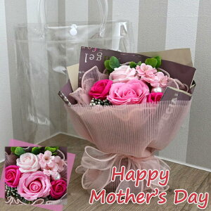 \[vt[ u[P sNJ[ obNt ̓Mtg Ό t[Mtg \[v}eA