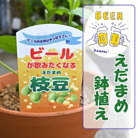 2023年7月実付き枝豆の鉢植え　育てる楽しみをプレゼントに枝豆 鉢植え 育てて収穫しよう 夏野菜 ビール　お誕生日プレゼント