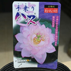 2025N7ɔnX nXZbg @@|bgc@nX@qnX @