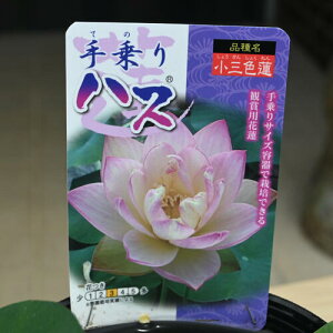 2025N7ɔnX nXZbg @@|bgc@nX@qnX @