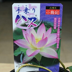 2025N7ɔnX nXZbg @@|bgc@nX@qnX @