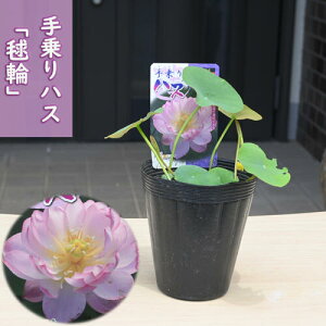 2025N7ȍ~̔@nX { |bgc@@@nX@qnX