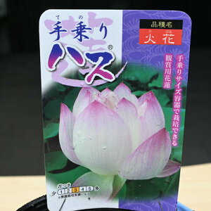 2025N7ɔnX nXZbg @@|bgc@nX@qnX @