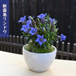 2025N10{JԒ VhE A _ h hE N