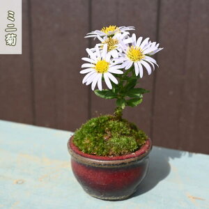 2025N113Be@~je A R쑐 N ~jMN