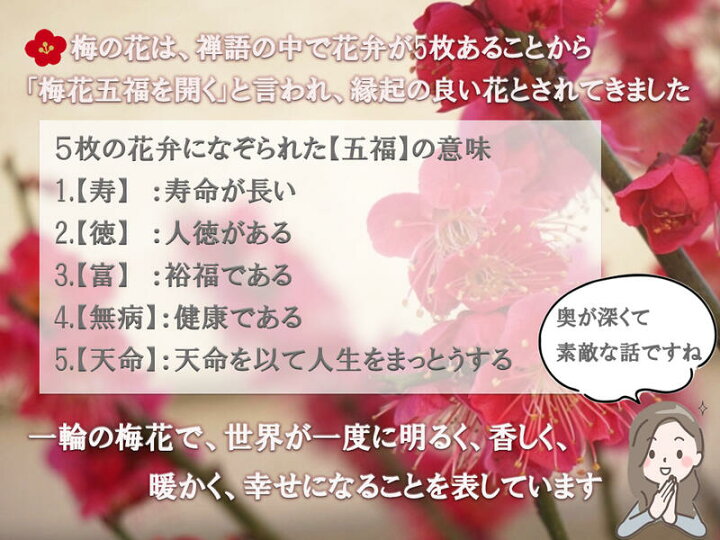 楽天市場 お祝い梅盆栽22年2月から3月に開花 香りと花の贈り物香りもお花も楽しめる 豪快に咲く紅梅盆栽 梅の樹種大盃紅一重咲き 園芸百貨店何でも揃うこぼんさい