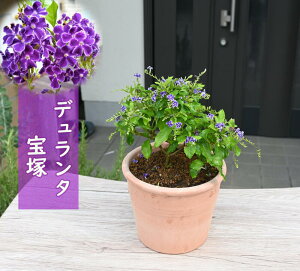 v[gɁ@2025N5`6J f^  p[vu eRb^ n}c ^CME