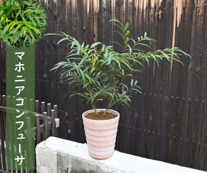 }zjARt[T A Ύ חtqCMie Rt[T