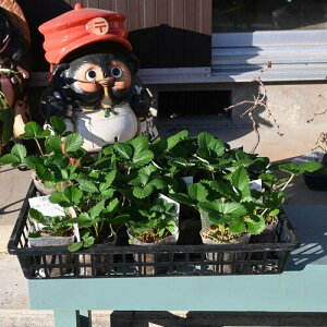 2025Nlx_͔|`WĂ悤C`Sc10c ڂ10Zbg  ڂ䕕c