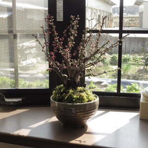 ߂ł~~ 2026NJԁy~́@~zMyĂg~~́@JԂ2炫n߂܂