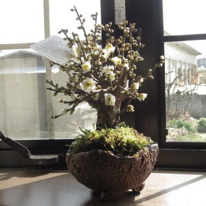 ~͔~2025N~̍ƂԂyޔ~~ y~~́z~̂Ԃ́@肪܂MyĂ~͔~