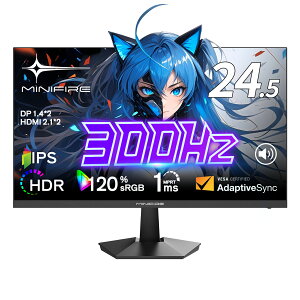 y10/24-10/30 18,999~wzQ[~Oj^[ 24.5C`/300Hz/180Hz/tHD/ Fast IPSpl/OD 1ms/Adaptive Sync/`g/HDMI2.0×2ADP1.4×2/120%sRGBLF/tbJ[t[/u[Cgy/X