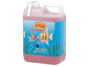 T~[Y PSB 2D1L