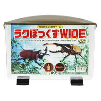 楽天市場】ヘラクレスオオカブト（昆虫ケース｜昆虫）：ペット・ペット 