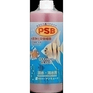 T~[Y PSB 1