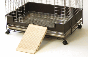 �J���C �ʁi�f�Rdeco�j�X���[�v