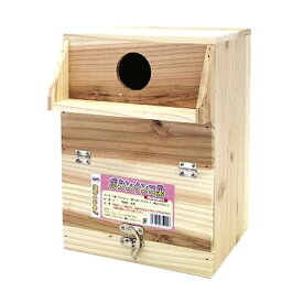 エクセル ボタンインコ巣