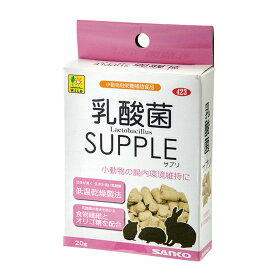 三晃（サンコー） 乳酸菌 サプリ 20g SANKO