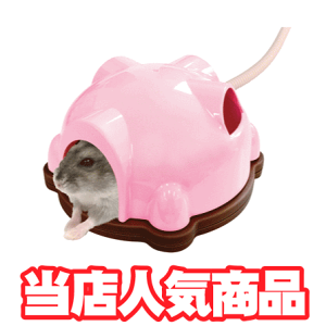 }J قƃng h[q[^[ inX^[pq[^[j