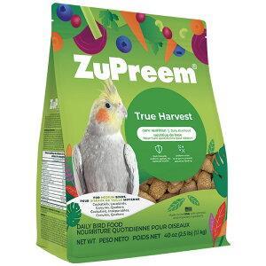 �y���K�i�zNEWZuPreem�i�Y�v���[���j�i�`�������I�J���C���R1.1kg �yF2�z