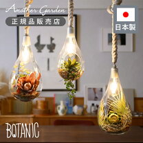 楽天市場】観葉植物 ハンギング（ライト・照明器具｜インテリア・寝具 
