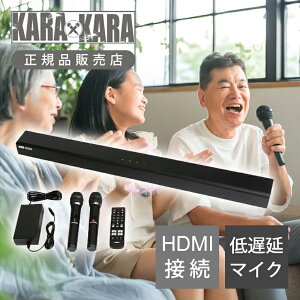 erW JIPTEho[  KARAA2023 KARA-A2023 ƒp JIP JIP  x}CN  WCTEh JOYSOUND Bluetooth {iI z JIP{bNX ~j}