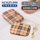 【25年秋発売】コイズミ 平形 電気あんか KHA06252アンカ 行火 フットヒーター 足元 冷え エアコン対策 腰 足裏 温め …