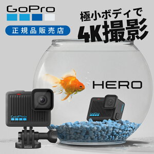 GoPro HERO CHDHF131 S[v q[[ ANVJ ʐ^  h C _CrO }X|[c s RpNg ^ 4K X[[VBe  y ^ EFAuJ 