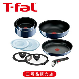 eBt@[ CWjIElI Cu[ECeX9 L43792 | tCp 22cm 26cm Zbg  W KX 肪 ̎  `^ u[ T-fal