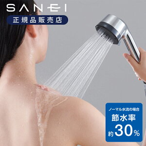 SANEI TGC {fBeiXV[ PS3070-82XA-CD2  { WFbg ؑ L͈ ߐ 30 ߖ bNX IV l炵 v[g Mtg Oh𐻍