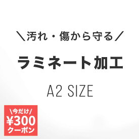 P2倍+今だけ300円引★A2 サイズ ラミネート加工 マット （ つや消し ） ポスター インテリア ミニマルマップ カスタマイズ
