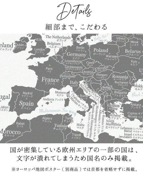 楽天市場 48h限定5倍 おふろポスター 世界地図 グレー ポスター おしゃれ 国名 白地図 ウクライナ ロシア ベラルーシ ジョージア コーカサス キーウ キエフ こども 壁 ミニマルマップ お風呂 ポスター 防水 Minimalmap 地図 学習 ポスター