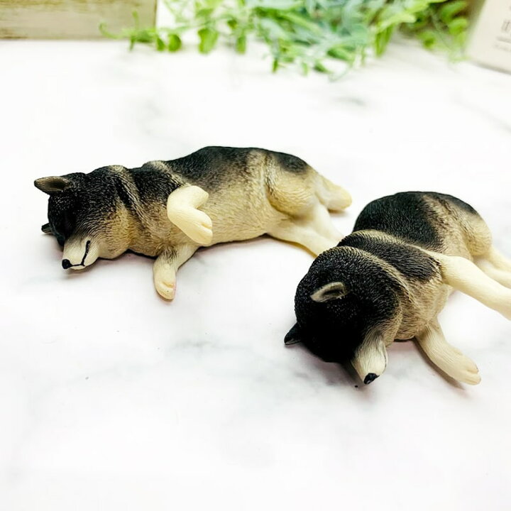 楽天市場 送料無料 柴犬 マグネット 冷蔵庫 かわいい ミニチュア 犬 わんこ フィギュア リアル 本物そっくり 黒柴 赤柴 白柴 日本犬 動物 グッズ 雑貨 かわいい デスクワーク 癒し 疲れ 人気 小さい 面白い 文房具 グッツ ギフト Minimini