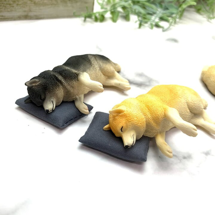 楽天市場 送料無料 柴犬 マグネット 冷蔵庫 かわいい ミニチュア 犬 わんこ フィギュア リアル 本物そっくり 黒柴 赤柴 白柴 日本犬 動物 グッズ 雑貨 かわいい デスクワーク 癒し 疲れ 人気 小さい 面白い 文房具 グッツ ギフト Minimini