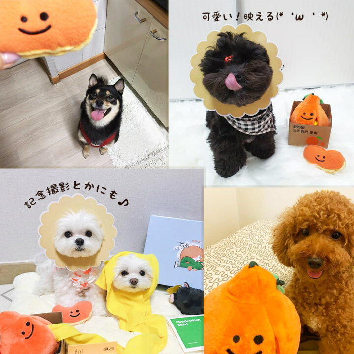 楽天市場 送料無料 ノーズワークトイ 犬のおもちゃ 人気 かわいい 誕生日 プレゼント 知育玩具 知育トイ おもちゃ おもちゃ ひも 引っ張り 布 ぬいぐるみ オモチャ 犬 ペット イヌ 用 早食い防止 小型犬 中型犬 Minimini
