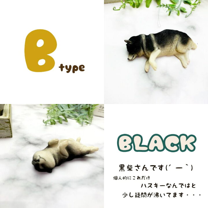 楽天市場 送料無料 柴犬 マグネット 冷蔵庫 かわいい ミニチュア 犬 わんこ フィギュア リアル 本物そっくり 黒柴 赤柴 白柴 日本犬 動物 グッズ 雑貨 かわいい デスクワーク 癒し 疲れ 人気 小さい 面白い 文房具 グッツ ギフト Minimini