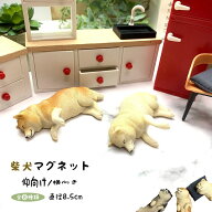 (送料無料) 柴犬 マグネット 冷蔵庫 かわいい ミニチュア 犬 わんこ フィギュア リアル 本物そっくり 黒…