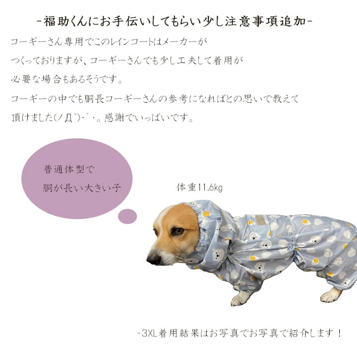 楽天市場】(在庫切れ入荷未定) コーギー 服 レインコート つなぎ服 
