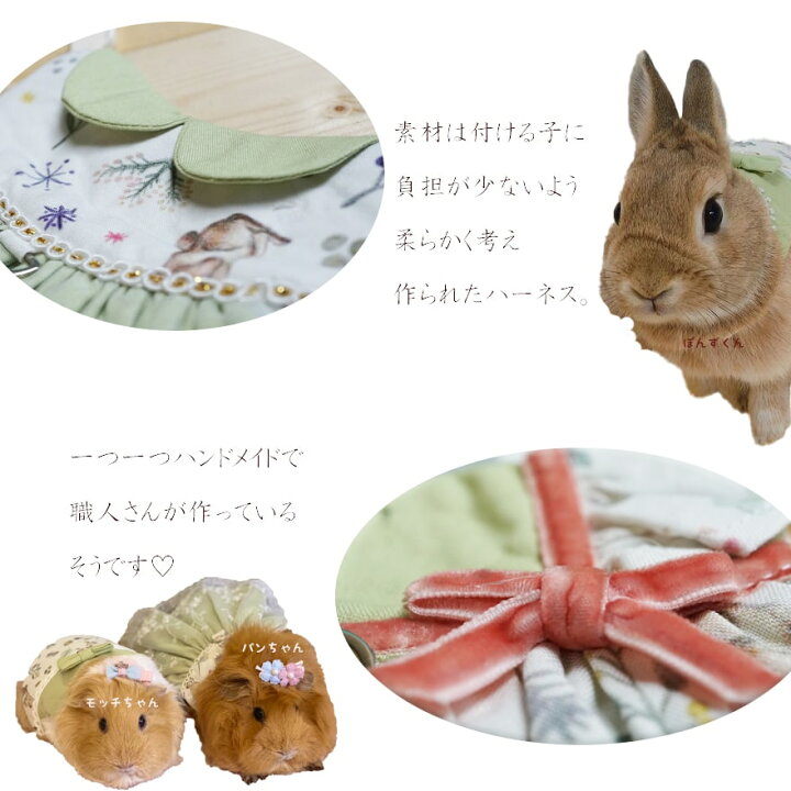 楽天市場 送料無料 うさぎ ハーネス モルモット 専用 かわいい メルヘン ふんわり うさんぽ ウサギ 洋服 ドレス ハーネス ドッグ 散歩 お出かけ お出掛け 服 ウェア 脱走防止 悪戯防止 結婚式 撮影 ネザーランドドワーフ ギフト S M L Minimini