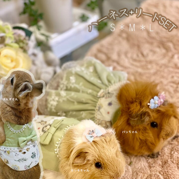 楽天市場 送料無料 うさぎ ハーネス モルモット 専用 かわいい メルヘン ふんわり うさんぽ ウサギ 洋服 ドレス ハーネス ドッグ 散歩 お出かけ お出掛け 服 ウェア 脱走防止 悪戯防止 結婚式 撮影 ネザーランドドワーフ ギフト S M L Minimini