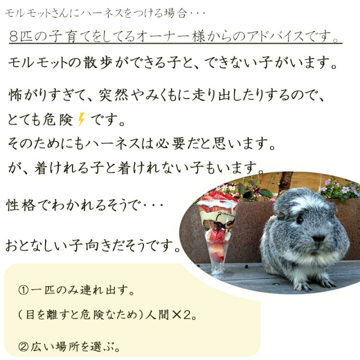 楽天市場 送料無料 モルモット ハーネス うさぎ 服 小動物 リードセット お散歩 部屋んぼ 柔らかい ペット用品 簡単 着脱 迷子防止 洋服 ウェア おしゃれ アウトドア ハーネスセット Minimini