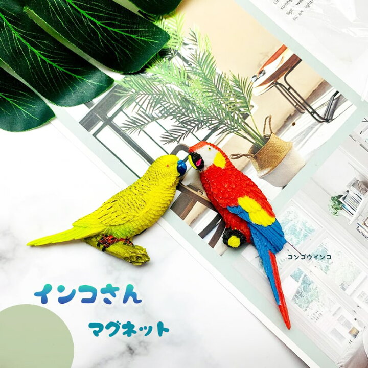 楽天市場 送料無料 セット インコ 冷蔵庫 マグネット 鳥 オウム アニマル玄関 ドア オシャレ インテリア 立体 デザイン 可愛い マグネット ホワイトボード 事務所 ギフト Minimini