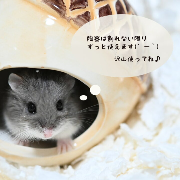 楽天市場 送料無料 ハムスター 陶器 暑さ対策 夏 ゴールデンハムスター ドワーフ ハウス 小屋 砂遊び ひんやり ハウス おしゃれ どんぐり クルミ ピーナツ 小動物 ジャンガリアン ロボロフスキー ギフト Minimini