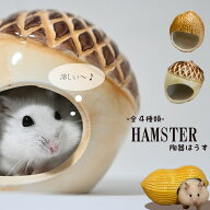 【すぐ届く】ハムスター 陶器 暑さ対策 夏 ゴールデンハムスター ドワーフ ハウス 小屋 砂遊び ひんやり …